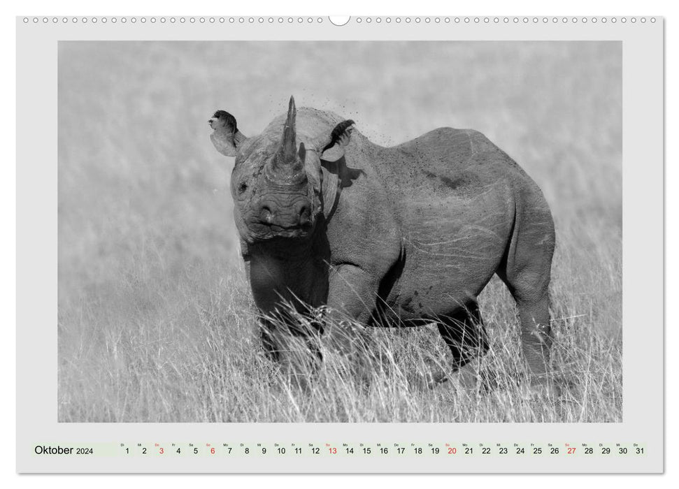 Africa's wildlife is alive - black on white (CALVENDO wall calendar 2024) 