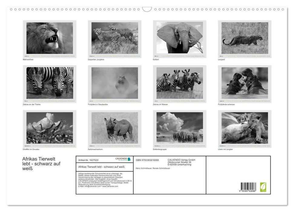 Afrikas Tierwelt lebt - schwarz auf weiß (CALVENDO Wandkalender 2024)
