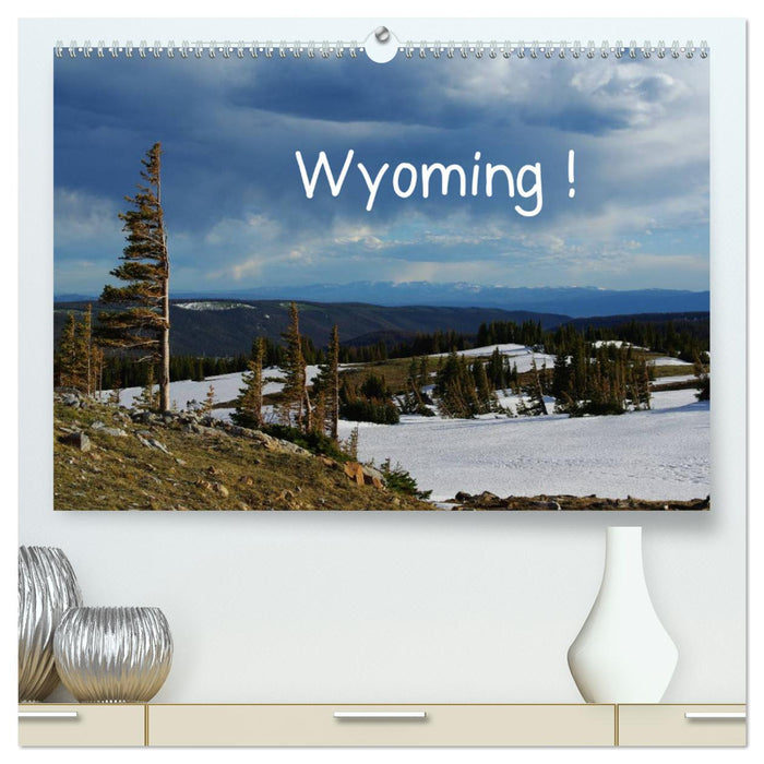 Wyoming! (Calendrier mural CALVENDO Premium 2024) 