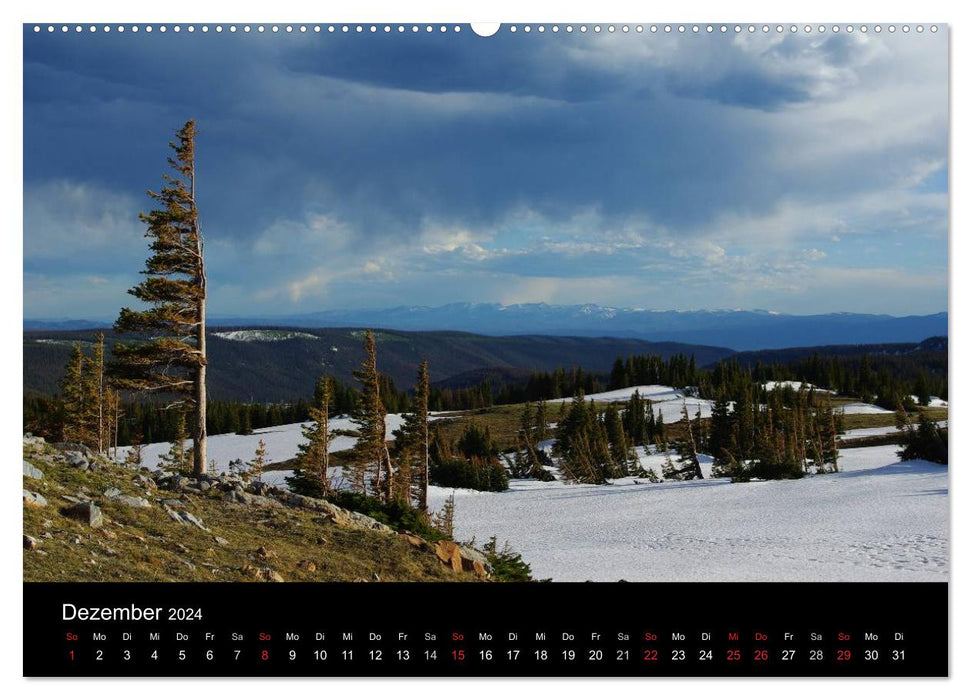 Wyoming! (CALVENDO Premium Wandkalender 2024)