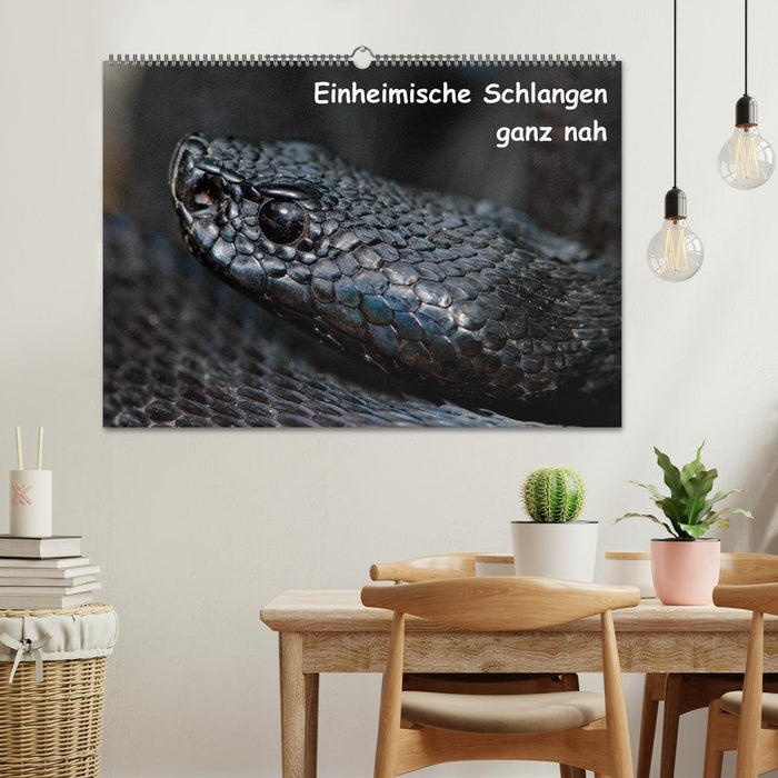 Einheimische Schlangen ganz nah (CALVENDO Wandkalender 2024)