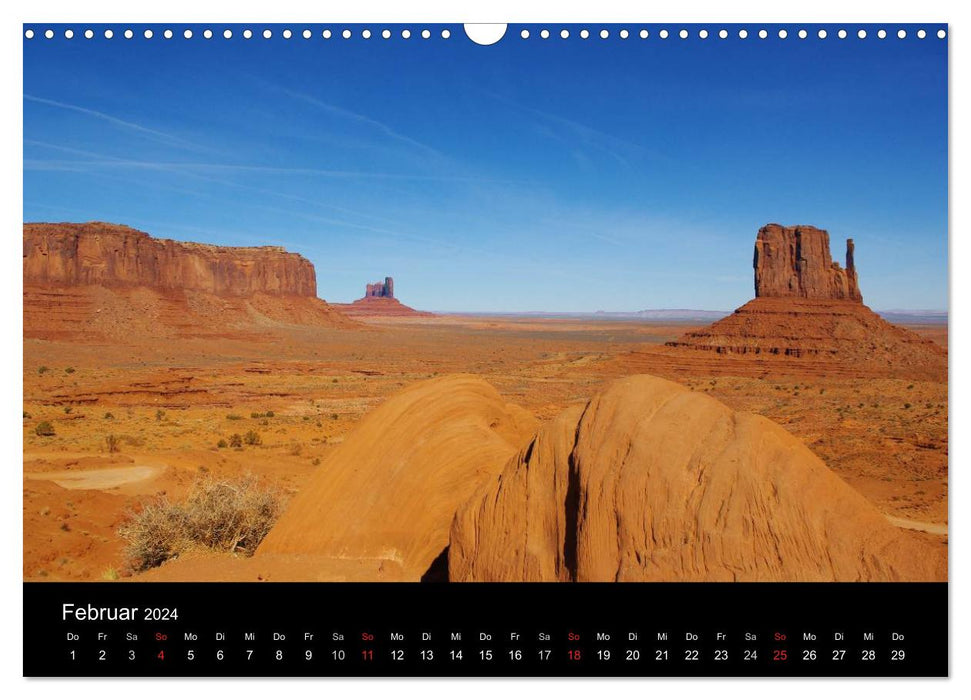 Wild beauty of Arizona (CALVENDO wall calendar 2024) 