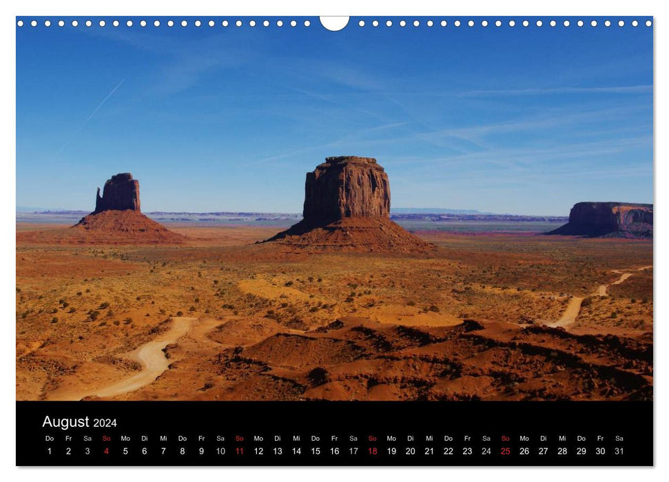 Wild beauty of Arizona (CALVENDO Wandkalender 2024)