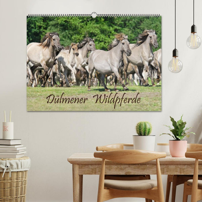 Dülmener Wildpferde (CALVENDO Wandkalender 2024)