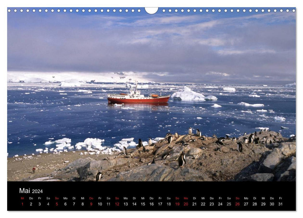 Arktis und Antarktis (CALVENDO Wandkalender 2024)