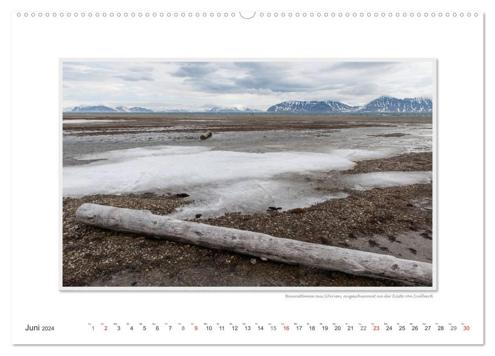 Moments d'émotion : L'Arctique (calendrier mural CALVENDO 2024) 