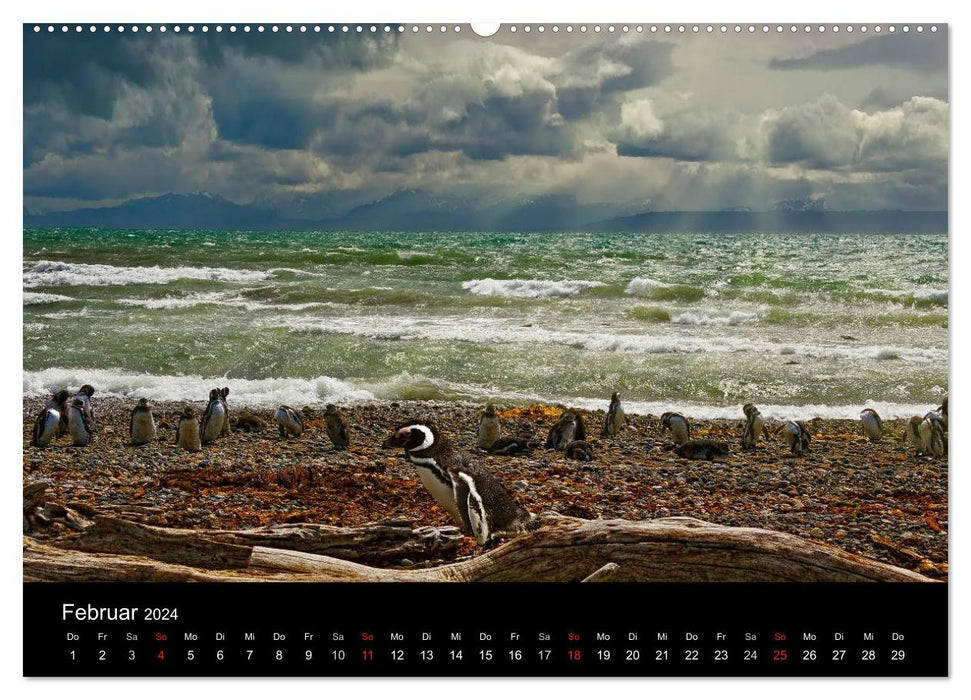 Fantastic Chile (CALVENDO wall calendar 2024) 