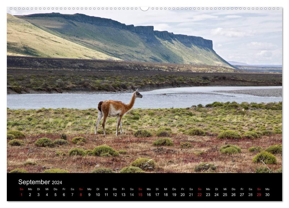 Fantastic Chile (CALVENDO wall calendar 2024) 