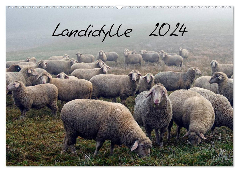Landidylle 2024 (CALVENDO Wandkalender 2024)