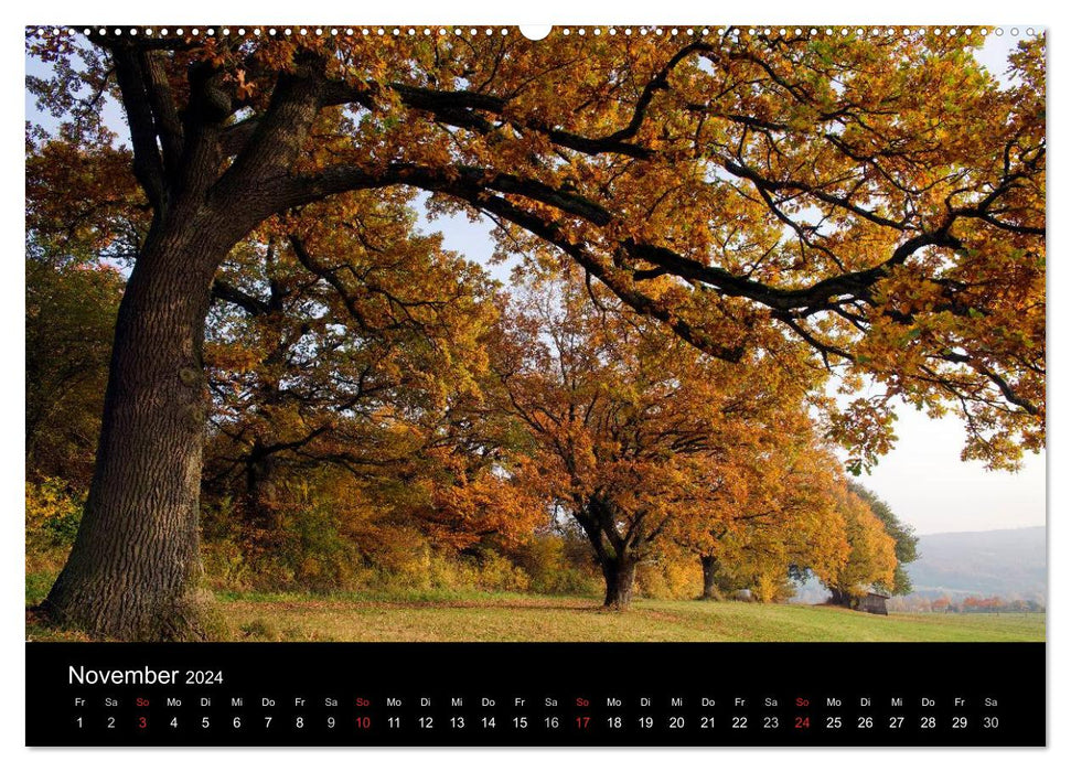 Idylle champêtre 2024 (Calendrier mural CALVENDO 2024) 