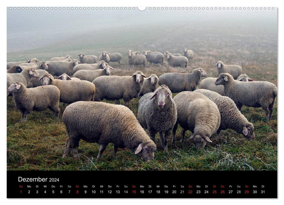 Country idyll 2024 (CALVENDO wall calendar 2024) 