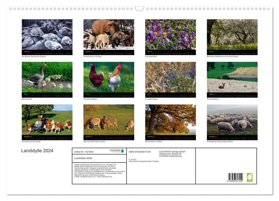 Country idyll 2024 (CALVENDO wall calendar 2024) 