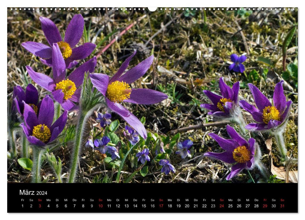 Country idyll 2024 (CALVENDO wall calendar 2024) 