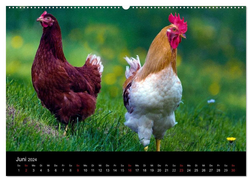 Country idyll 2024 (CALVENDO wall calendar 2024) 