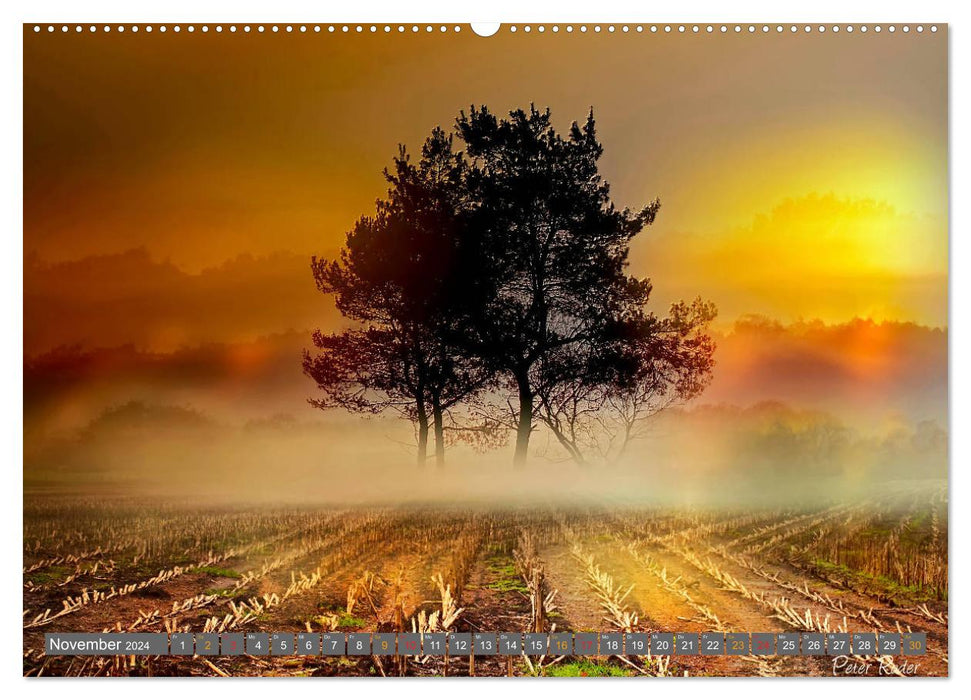 Friesland, enchanted landscape on the North Sea (CALVENDO wall calendar 2024) 