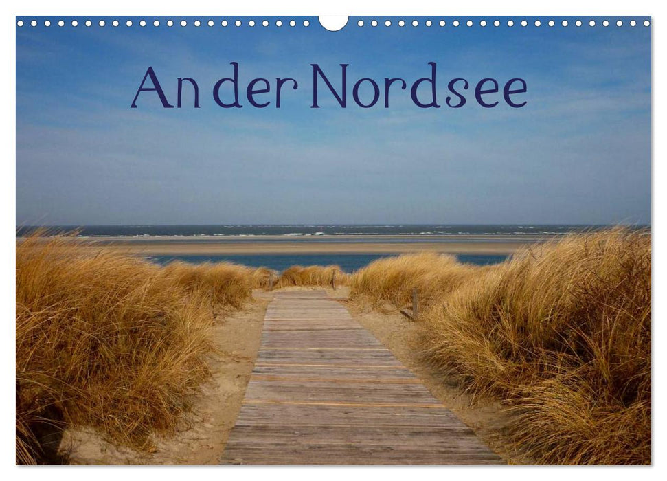 At the North Sea (CALVENDO wall calendar 2024) 