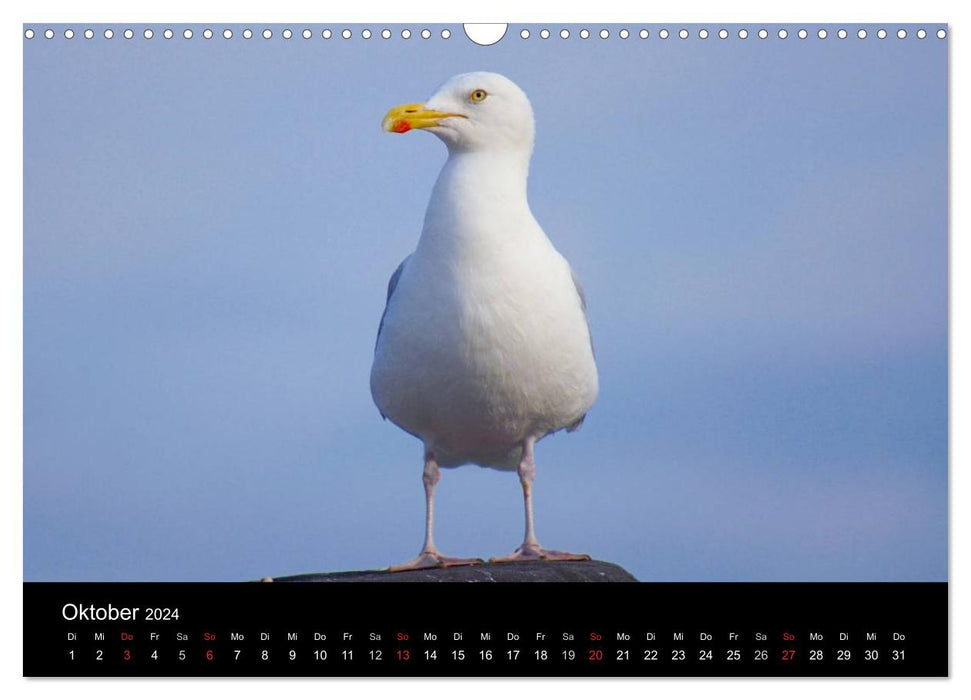 At the North Sea (CALVENDO wall calendar 2024) 