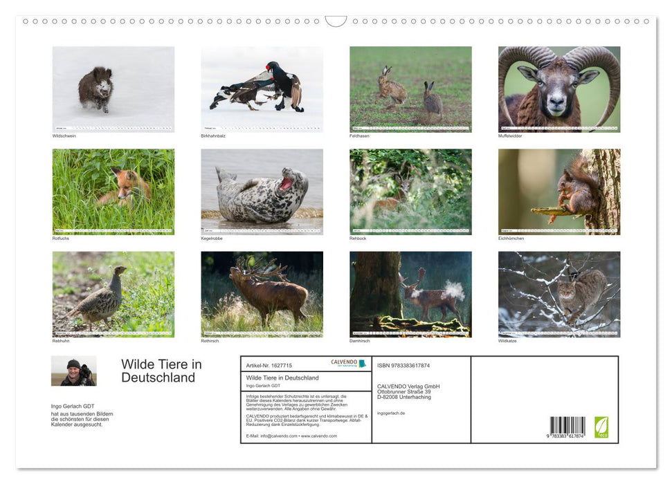 Emotionale Momente: Wilde Tiere in Deutschland (CALVENDO Wandkalender 2024)