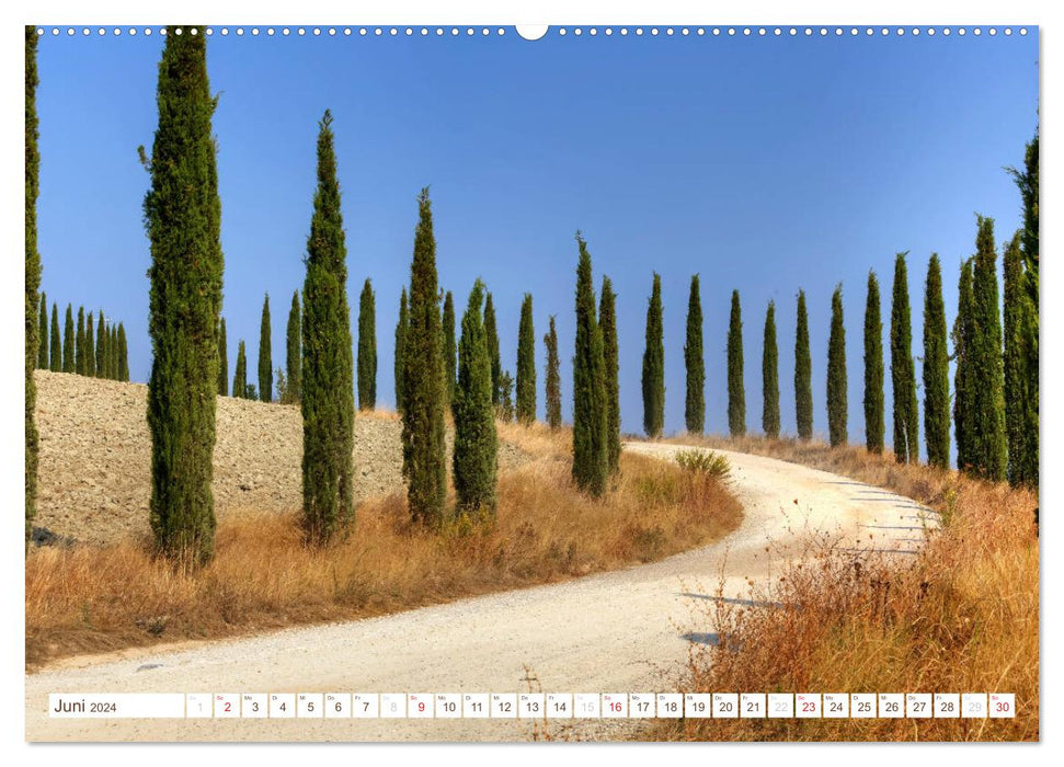 Tuscany - Golden colors of Tuscan autumn (CALVENDO Premium Wall Calendar 2024) 