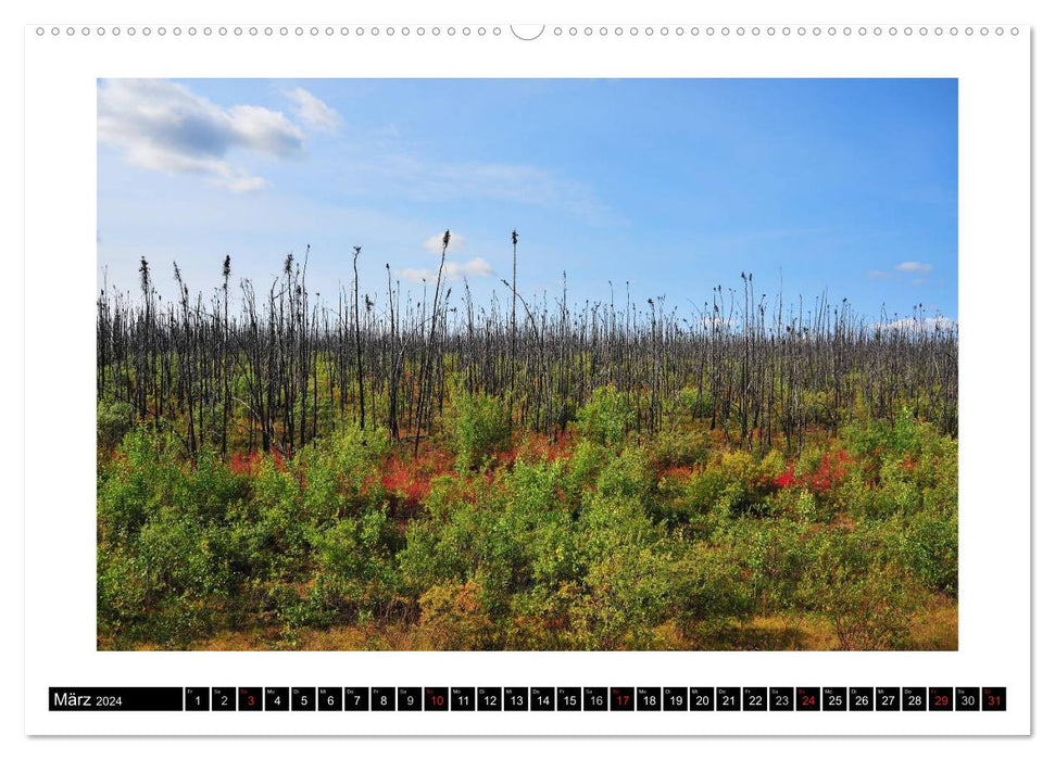 Yukon Territory - The Northwest of Canada (CALVENDO Wall Calendar 2024) 