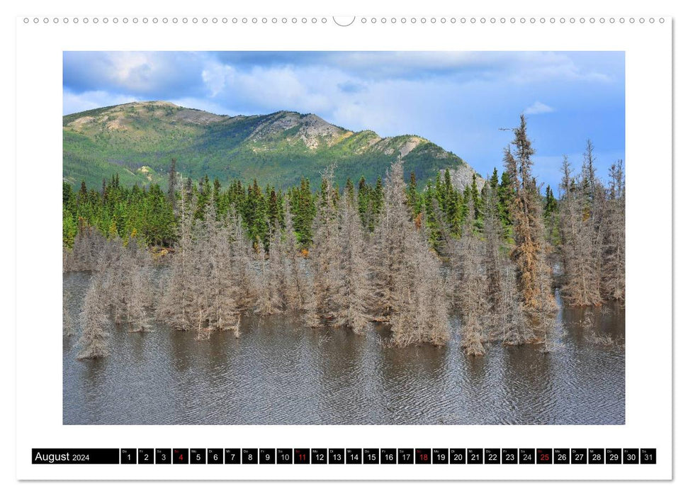 Yukon Territory - Der Nordwesten Kanadas (CALVENDO Wandkalender 2024)
