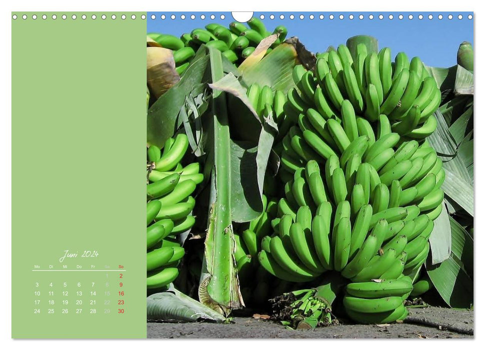 Bananen (CALVENDO Wandkalender 2024)