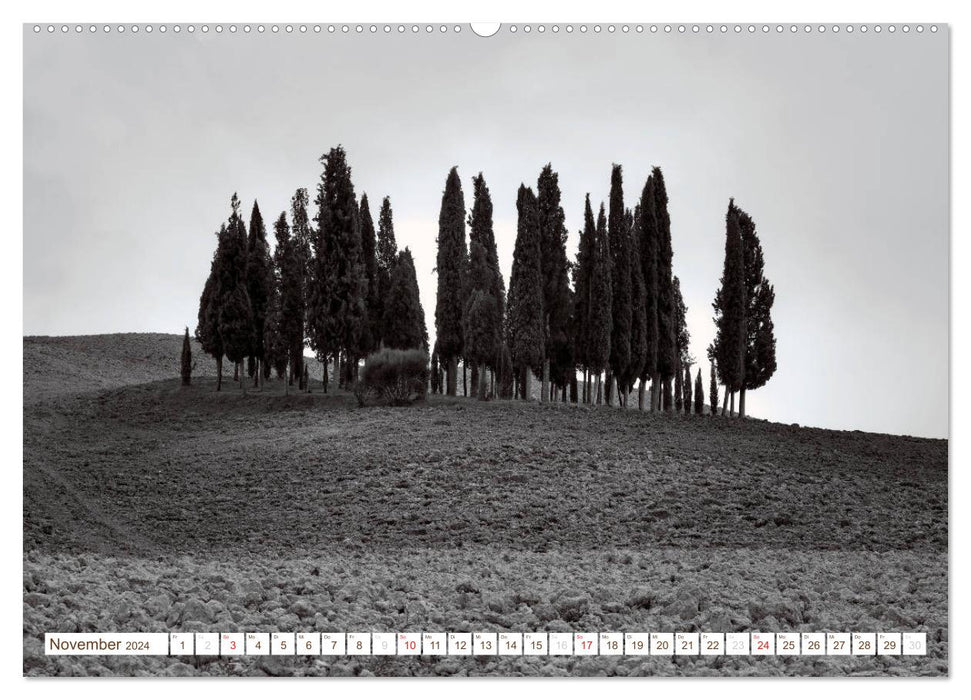 Tuscany - Golden colors of Tuscan autumn (CALVENDO wall calendar 2024) 