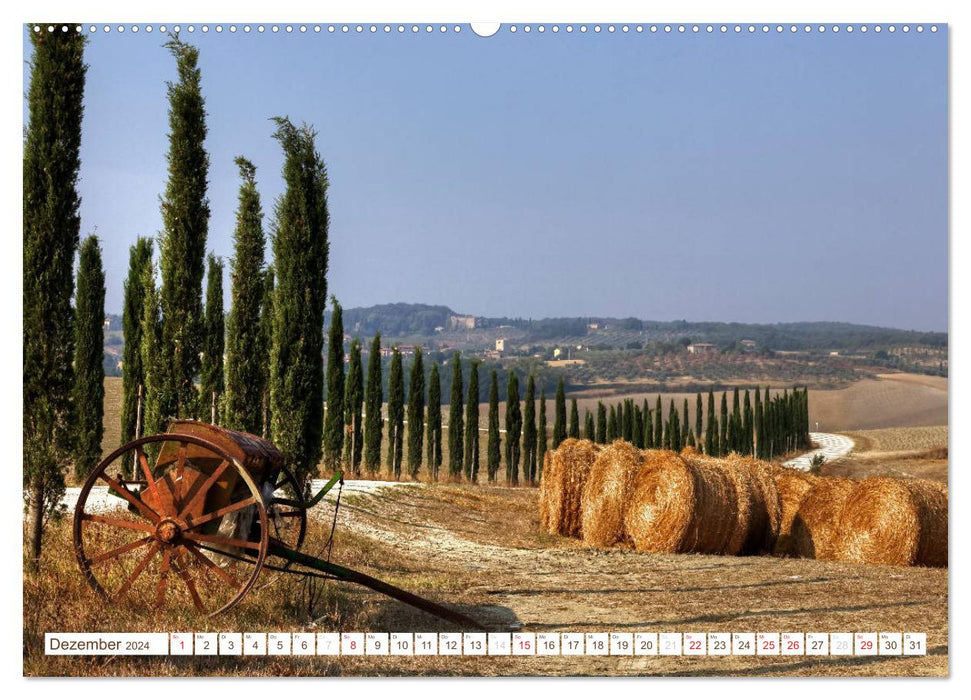 Tuscany - Golden colors of Tuscan autumn (CALVENDO wall calendar 2024) 