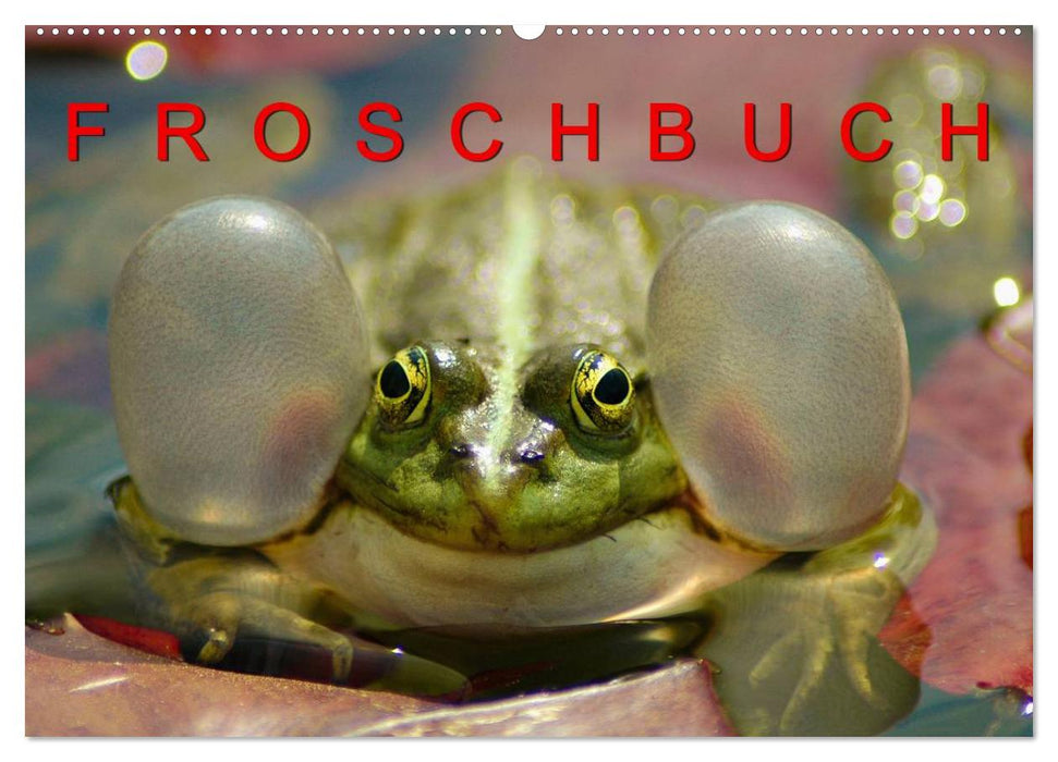 FROSCHBUCH (CALVENDO Wandkalender 2024)