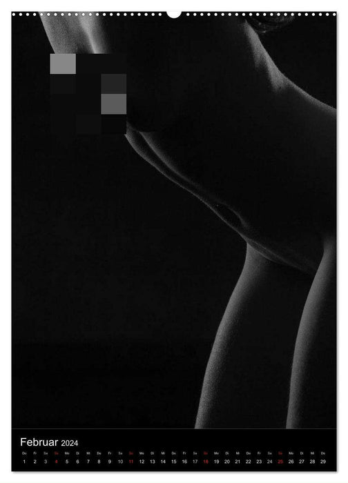 Erotische Silhouetten (CALVENDO Premium Wandkalender 2024)