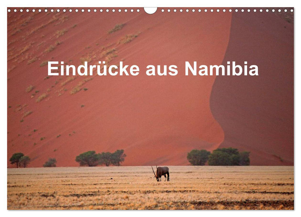 Eindrücke aus Namibia (CALVENDO Wandkalender 2024)