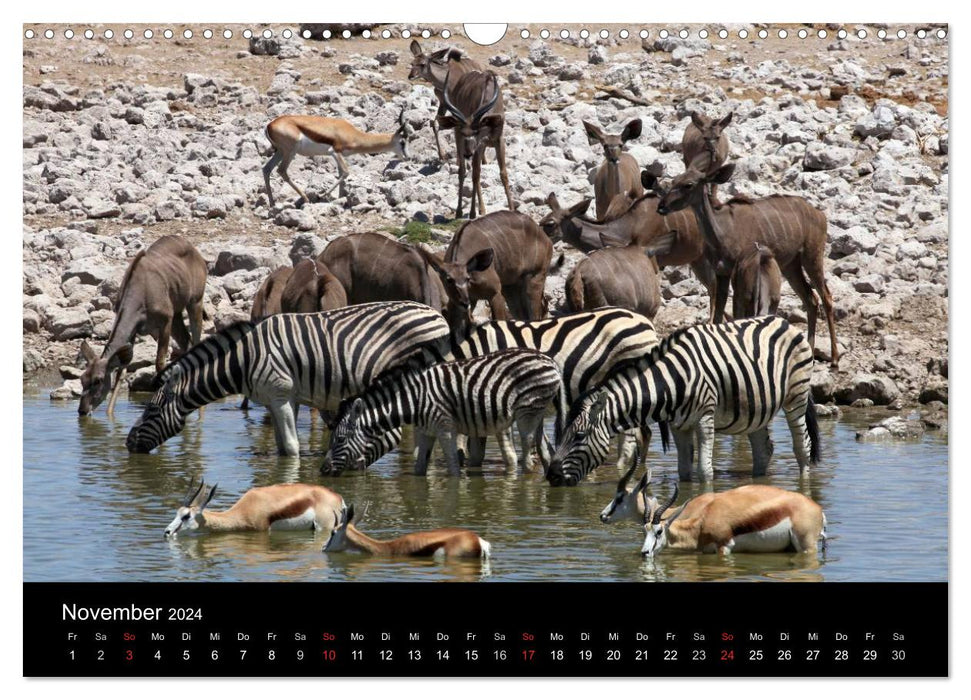 Eindrücke aus Namibia (CALVENDO Wandkalender 2024)