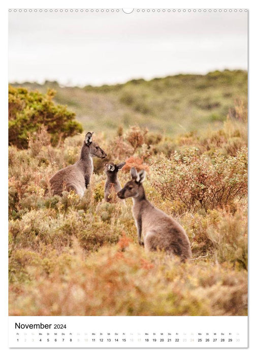 Australian animals (CALVENDO Premium wall calendar 2024) 