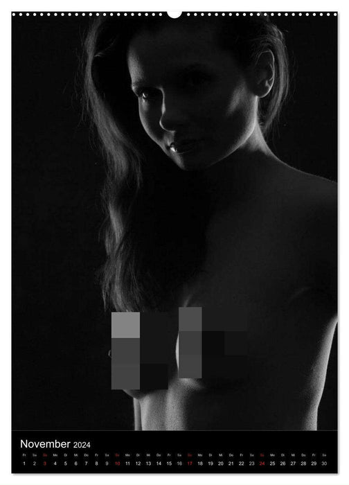 Erotic silhouettes (CALVENDO wall calendar 2024) 