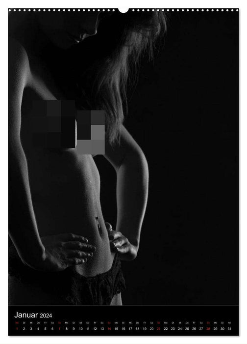 Erotic silhouettes (CALVENDO wall calendar 2024) 