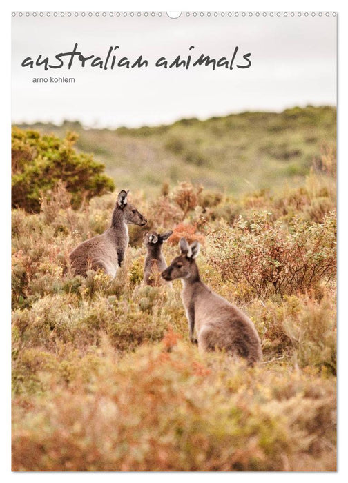 Australian animals (CALVENDO wall calendar 2024) 