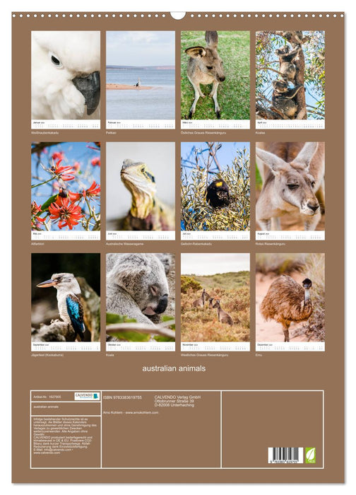 Australian animals (CALVENDO wall calendar 2024) 