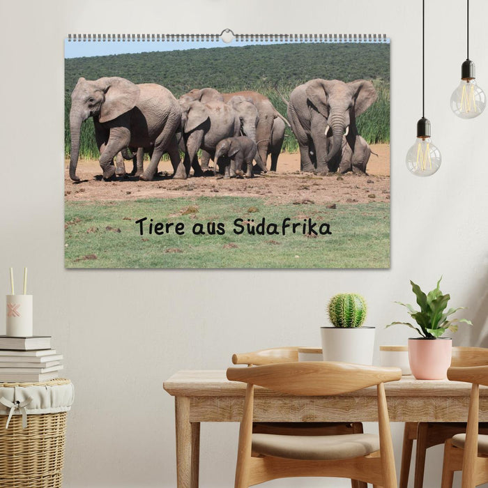 Animaux d'Afrique du Sud (calendrier mural CALVENDO 2024) 