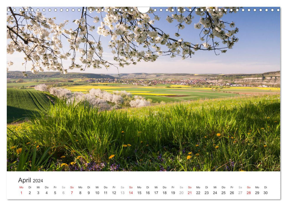 Picturesque Main Franconia (CALVENDO wall calendar 2024) 