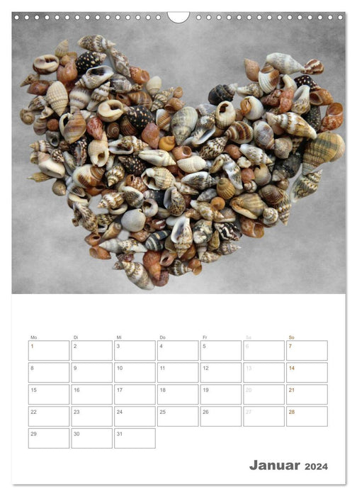 Hearts (CALVENDO wall calendar 2024) 