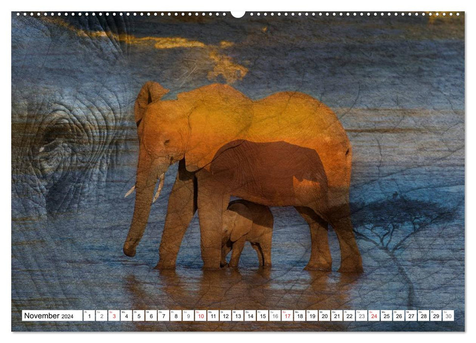 Emotionale Momente: African Dreams (CALVENDO Premium Wandkalender 2024)