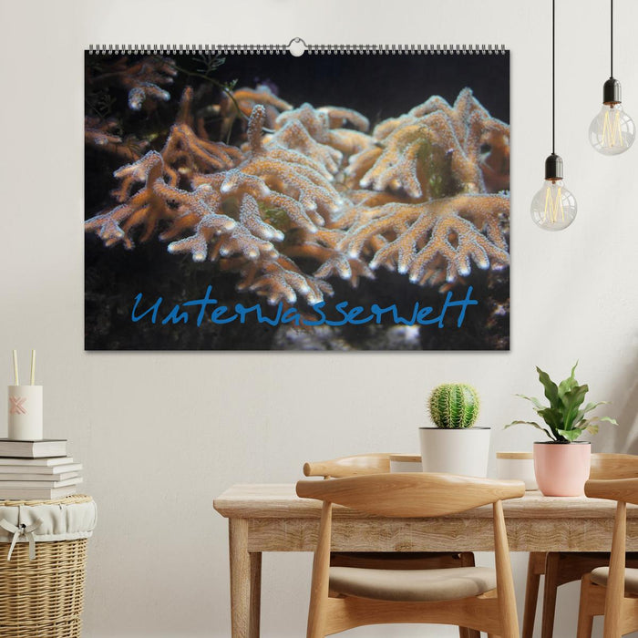 Underwater world (CALVENDO wall calendar 2024) 