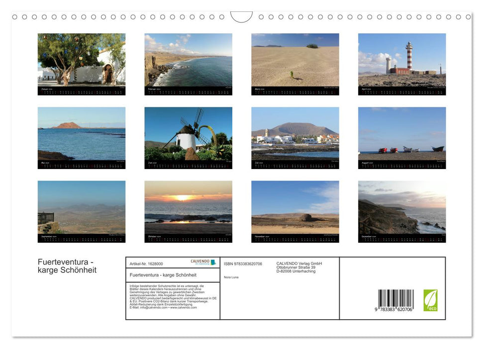 Fuerteventura - beauté stérile (calendrier mural CALVENDO 2024) 
