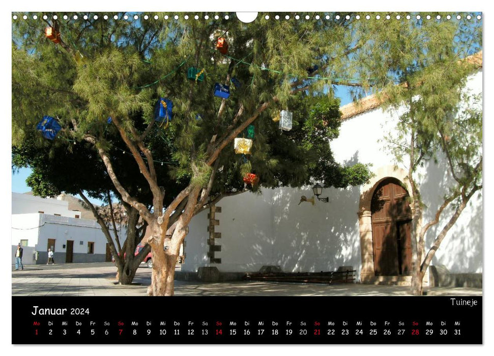 Fuerteventura - karge Schönheit (CALVENDO Wandkalender 2024)
