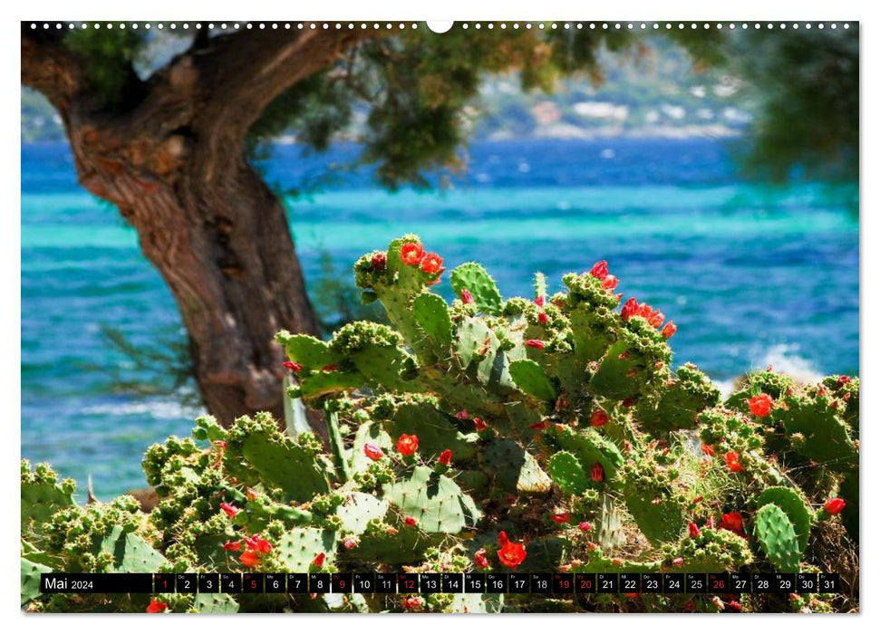 MALLORCA to FALL IN LOVE (CALVENDO wall calendar 2024) 