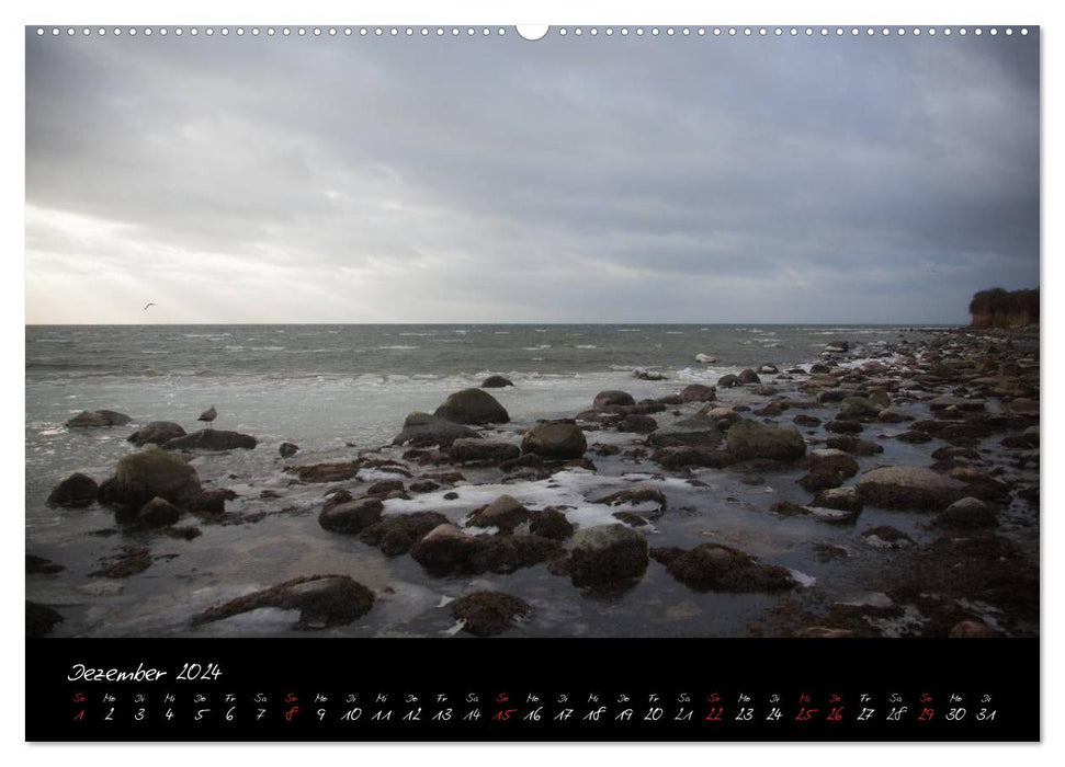 Rügen-Impressionen (CALVENDO Wandkalender 2024)