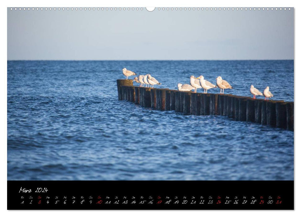 Rügen impressions (CALVENDO wall calendar 2024) 