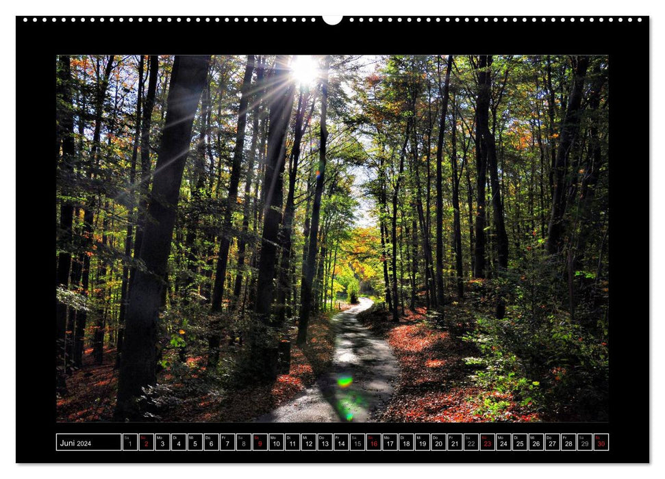 Hagen, the gateway to the Sauerland (CALVENDO wall calendar 2024) 