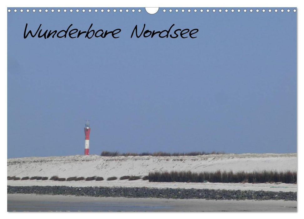 Wunderbare Nordsee (CALVENDO Wandkalender 2024)