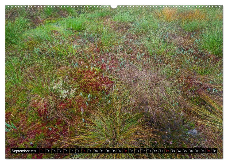 Tölzer Land and Blaues Land: Landscapes of the Soul (CALVENDO Wall Calendar 2024) 